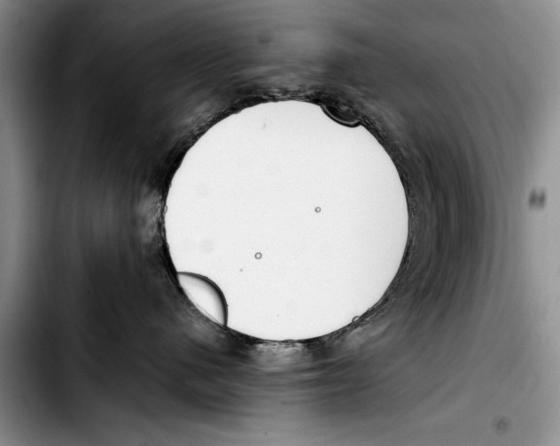 X0000103410480200810101001