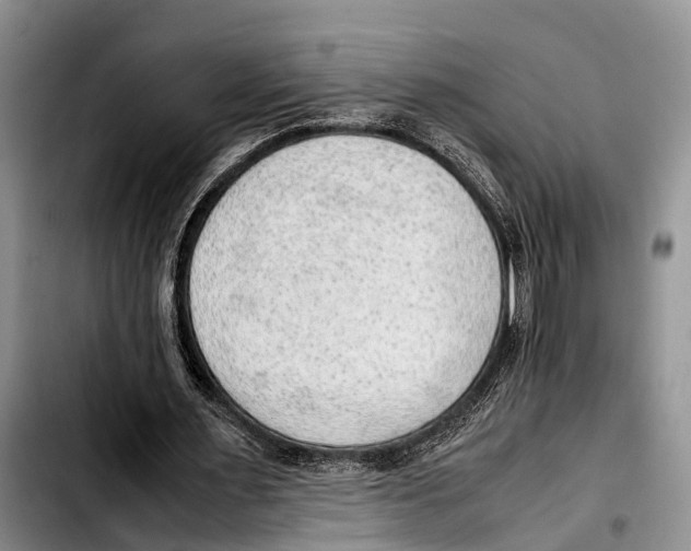 X0000103410483200810101000