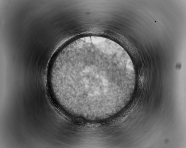 X0000103410484200810101000