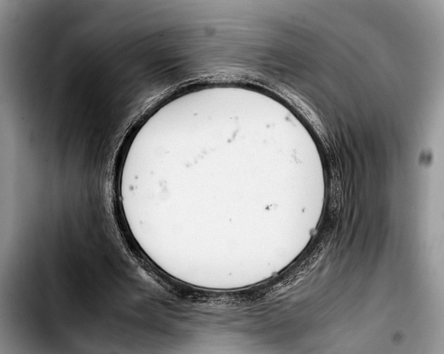 X0000103410485200810101000