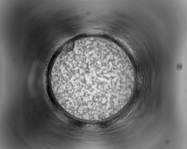 X0000103410487200810101000