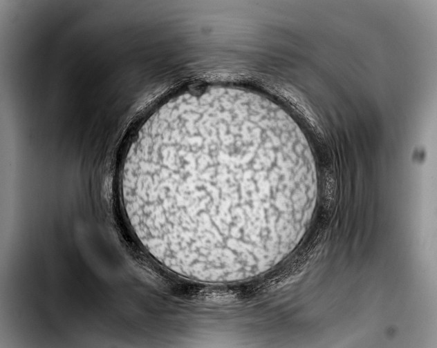 X0000103410491200810101000