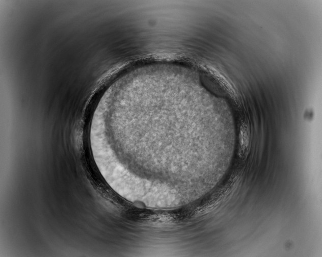 X0000103410492200810101000