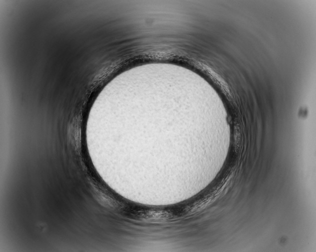 X0000103410493200810101000