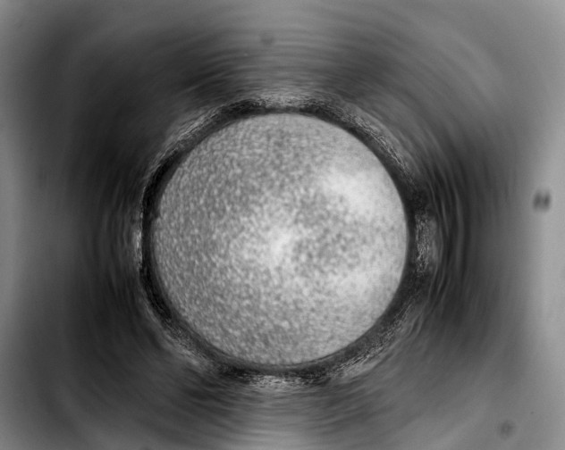 X0000103410494200810101000