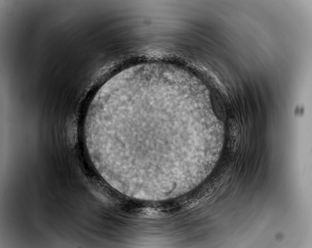 X0000103410496200810101000