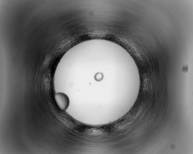 X0000103410498200810101000