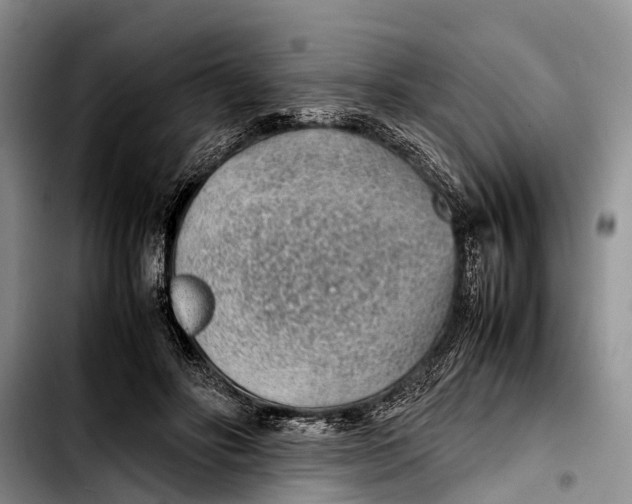 X0000103410502200810101000