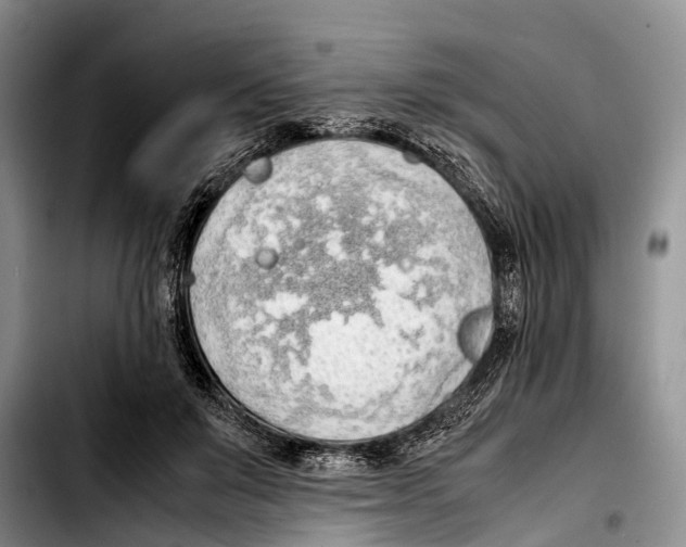 X0000103410503200810101000