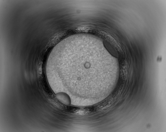 X0000103410504200810101000