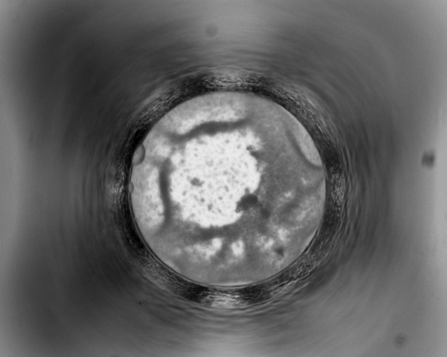 X0000103410507200810101000