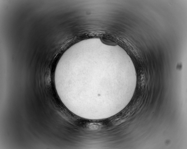 X0000103410508200810100959