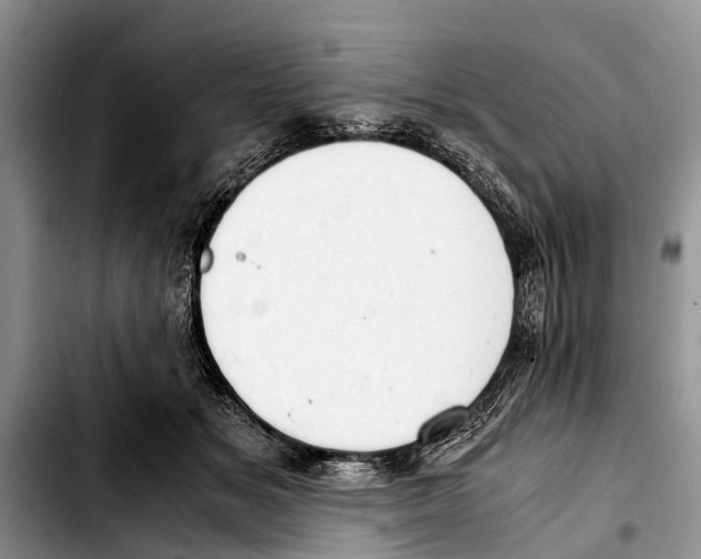 X0000103410509200810100959