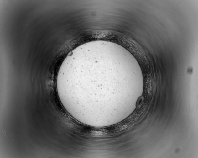 X0000103410510200810100959