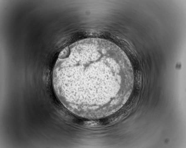 X0000103410511200810100959