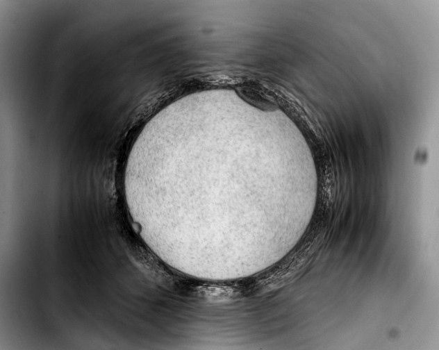 X0000103410512200810100959