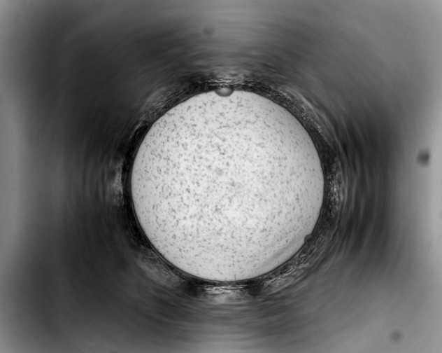 X0000103410516200810100959