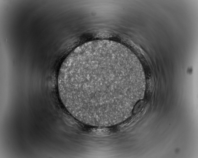 X0000103410517200810100959