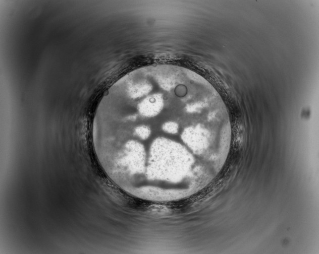 X0000103410519200810100959