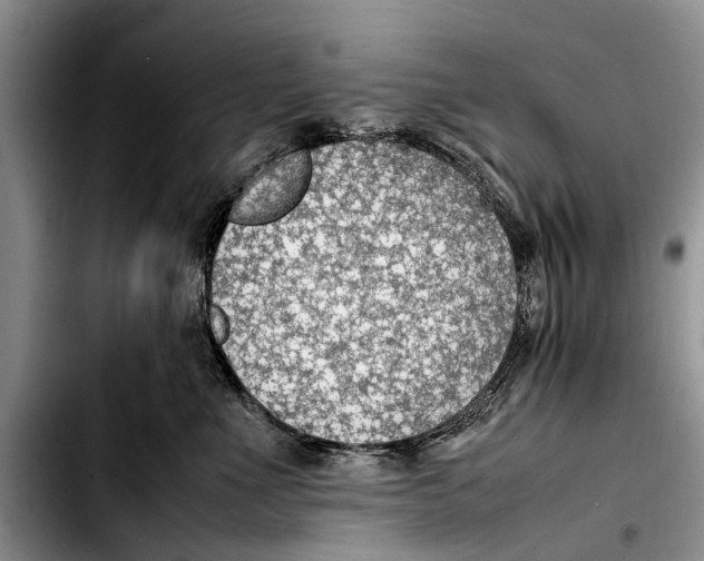 X0000103410523200810100959