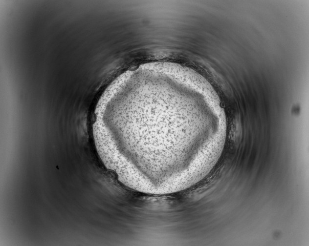 X0000103410524200810100959