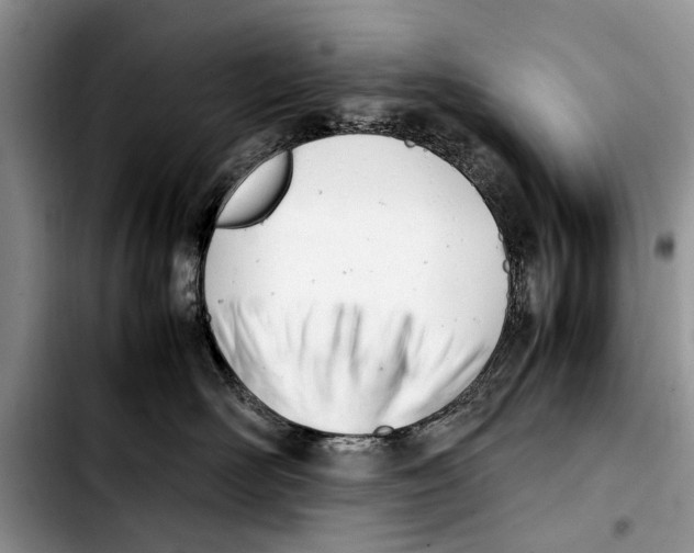 X0000103410526200810100959