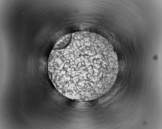 X0000103410527200810100959