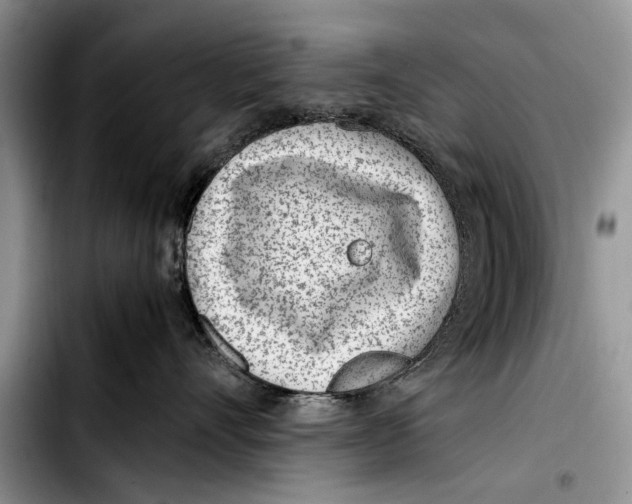 X0000103410528200810100959