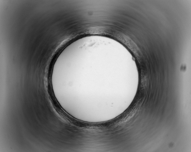 X0000103410530200810100959