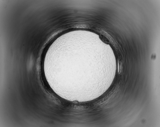 X0000103410531200810100959