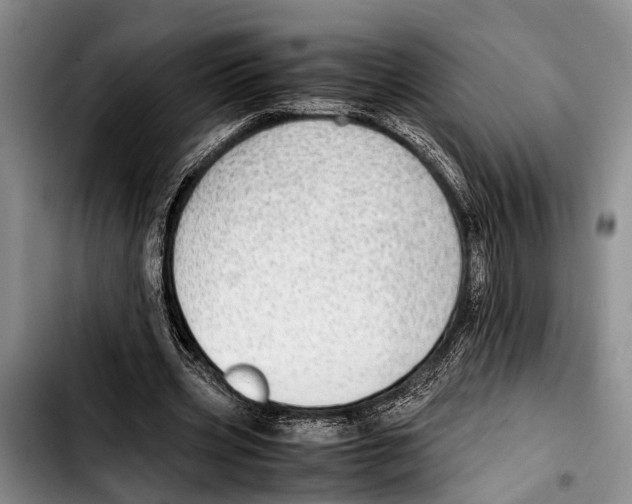 X0000103410533200810100959