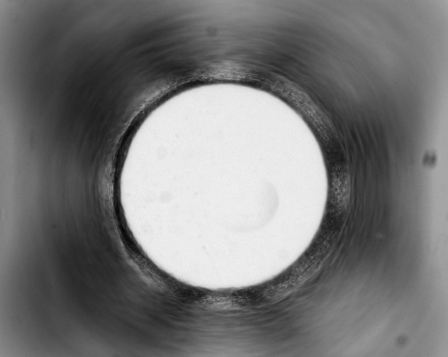 X0000103410534200810100959