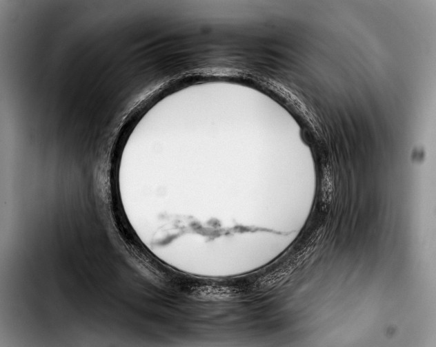 X0000103410535200810100959