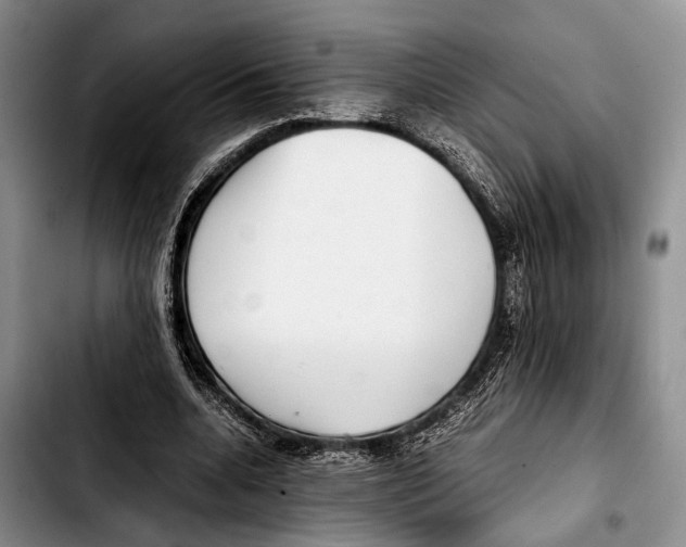 X0000103410536200810100959