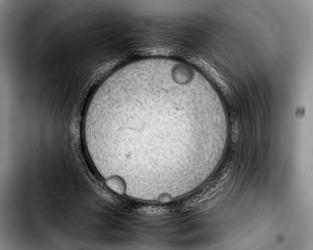 X0000103410537200810100959