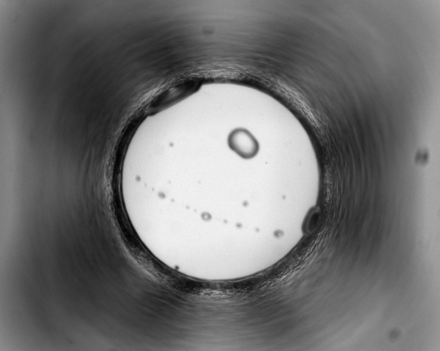 X0000103410538200810100959