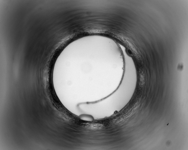 X0000103410539200810100959