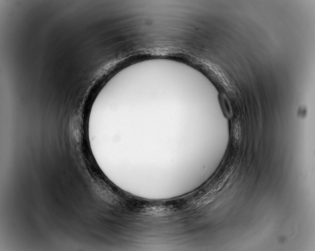 X0000103410540200810100959