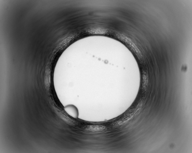 X0000103410541200810100959