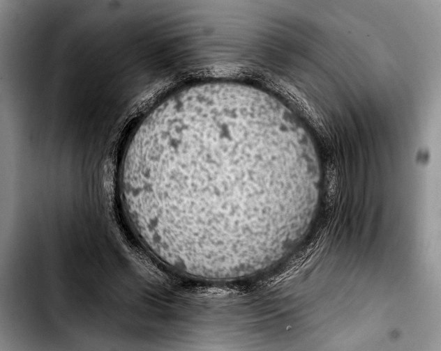 X0000103410542200810100959