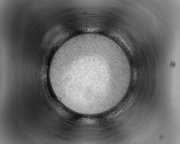 X0000103410545200810100959