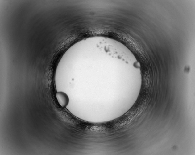 X0000103410546200810100959