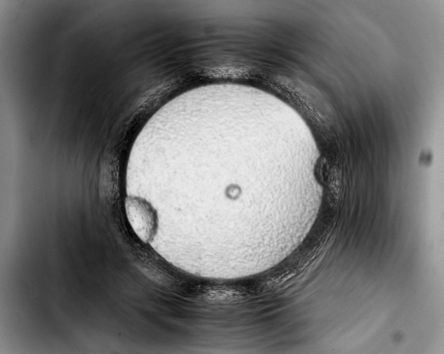 X0000103410547200810100959