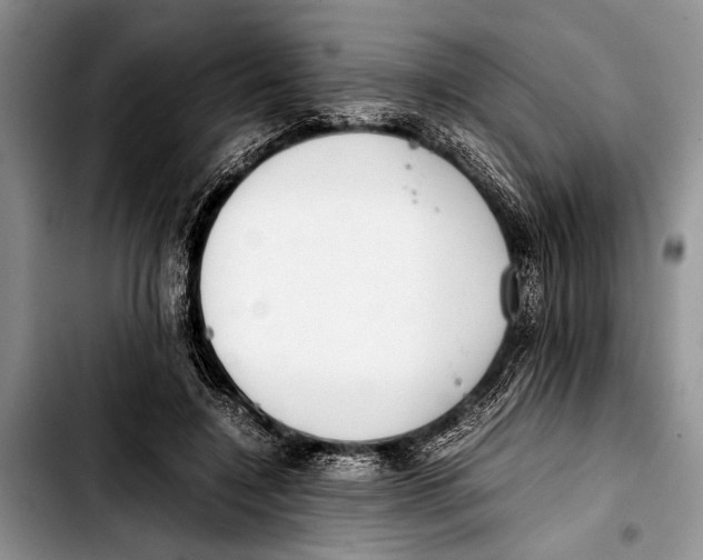 X0000103410548200810100959