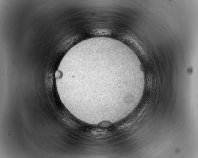 X0000103410549200810100959