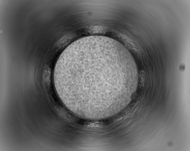 X0000103410550200810100959