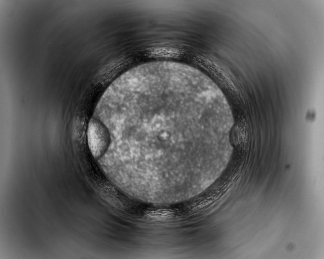 X0000103410551200810100959