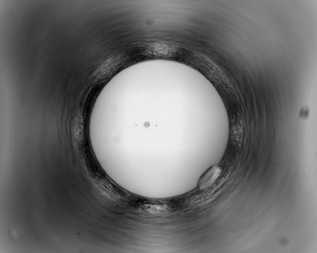 X0000103410552200810100959