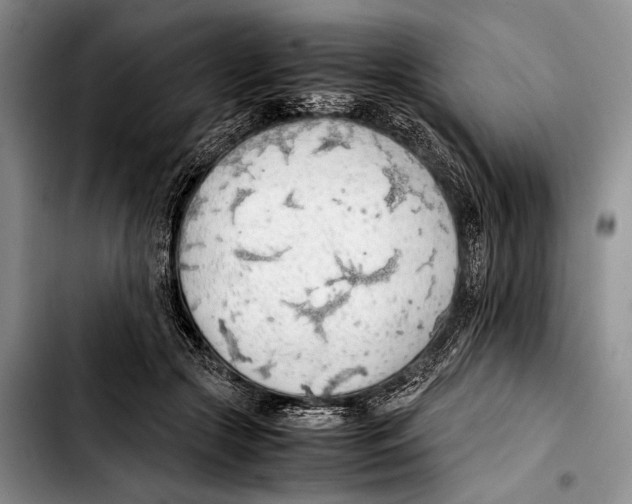 X0000103410553200810100959