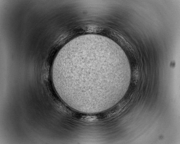 X0000103410554200810100959